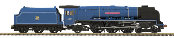 {short description of image}